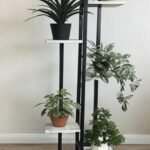 Modern Minimalist Indoor Plant Stand