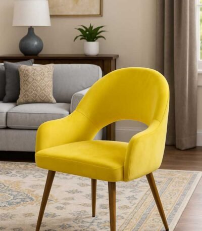 Sunny Modern Dining Chair