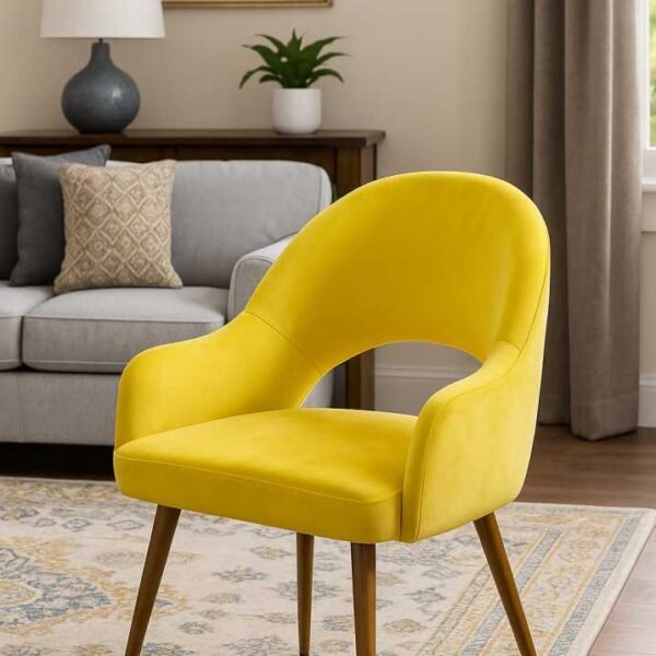 Sunny Modern Dining Chair
